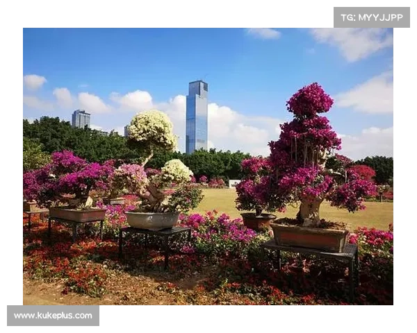 冠军奖杯巡展亮相莲花山公园 引发万众瞩目盛大围观